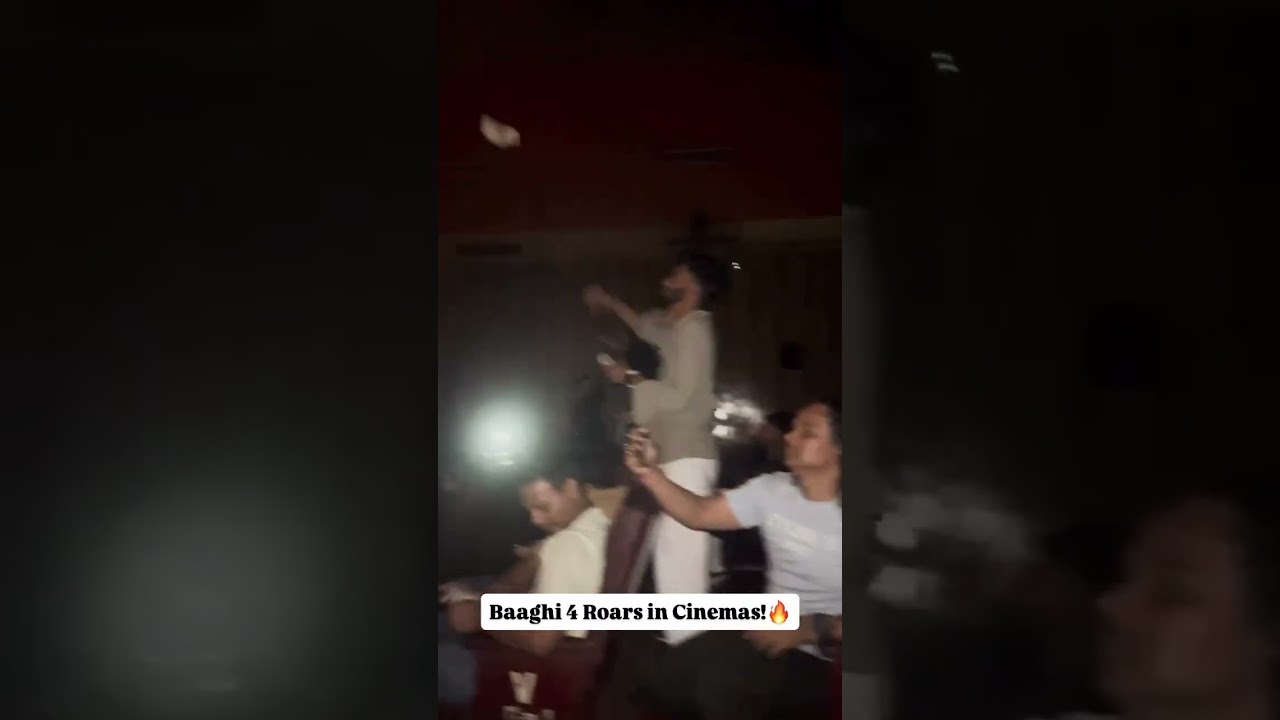 Baaghi 4's Shocking Public Response π€―