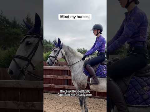 Meet my horses! #horse #horses #horseriding #horsegirl #riding #equestrian #pony #horsey #horsefan