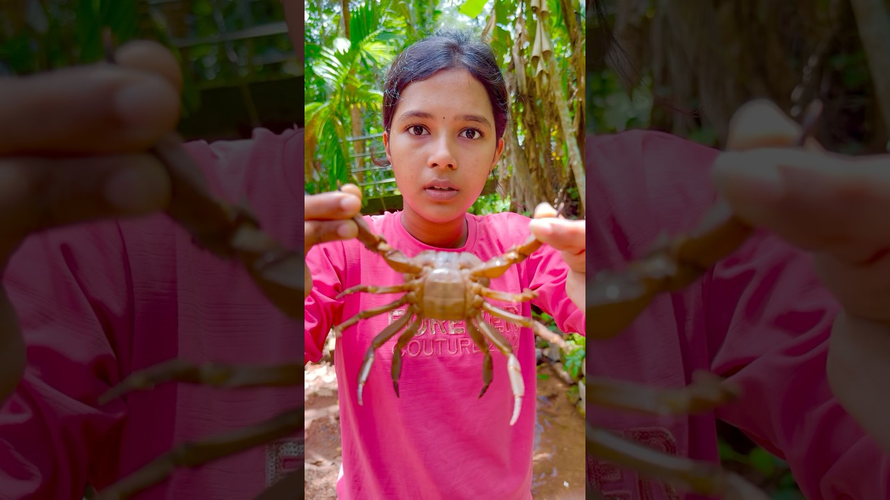 Tom ๐Jerry (Rithvi&Kavi)Real End Twist๐๐#shorts