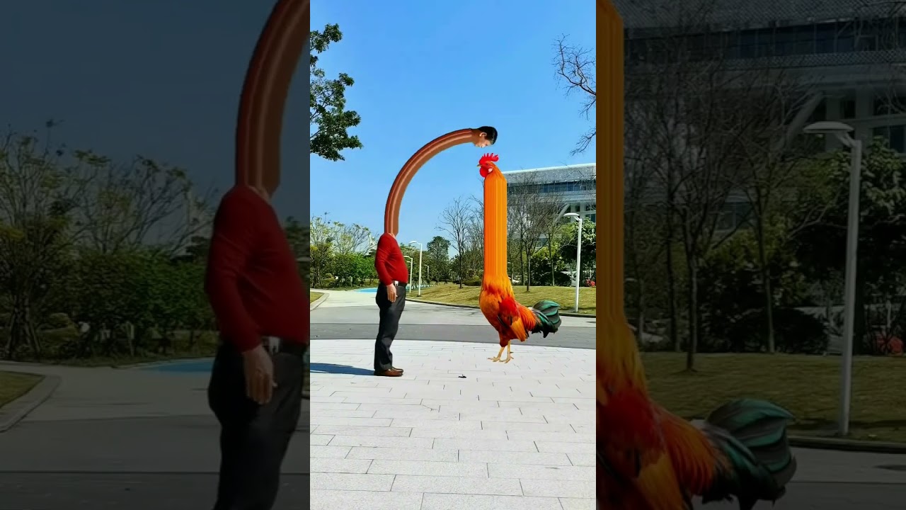 Folk Internet Celebrity Rooster Lao Lin's Special Effect Transformation π