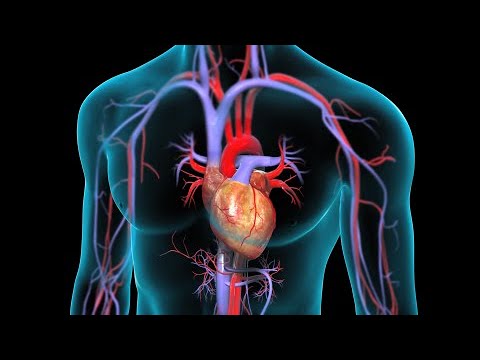 Aortic Valve Replacement Explained 🫀