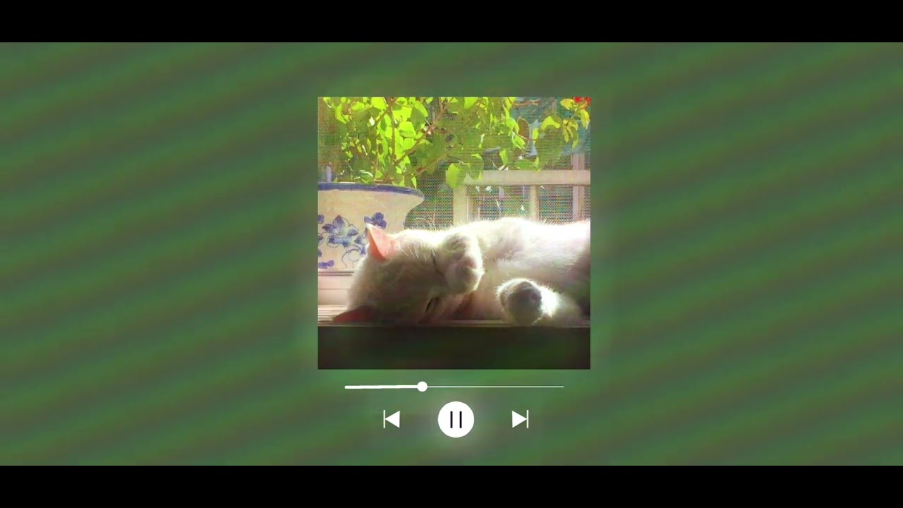 Chill & Comfort Softcore Playlist 🎶