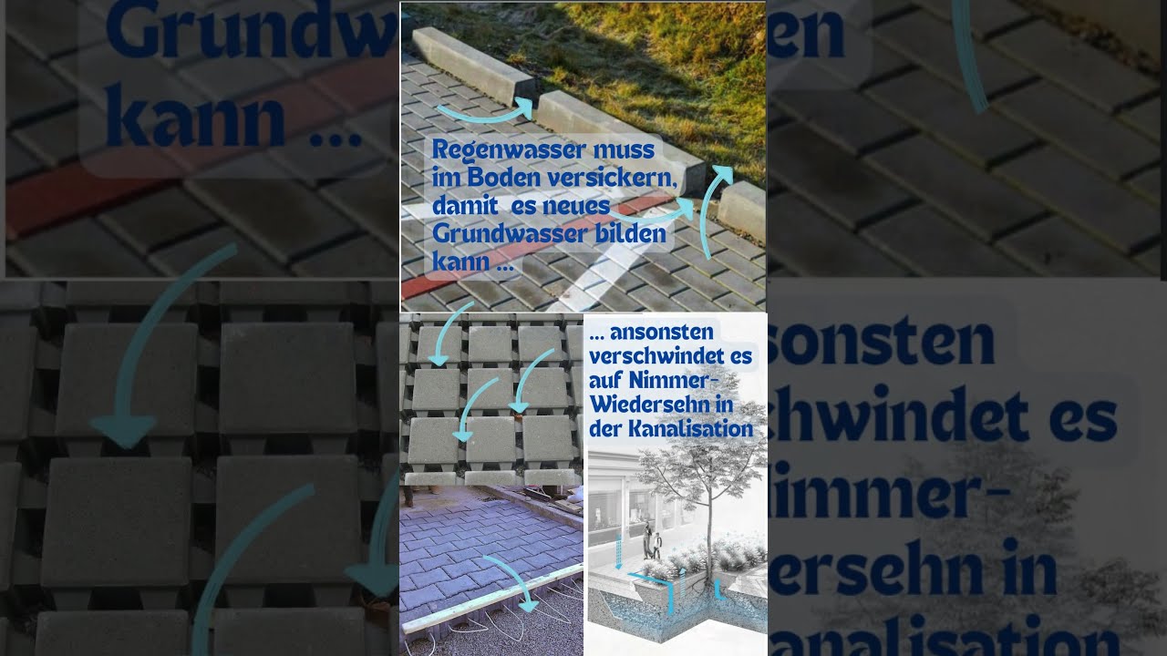 14 Tage bis zur BTW25: Grüne für Naturschutz 🌱