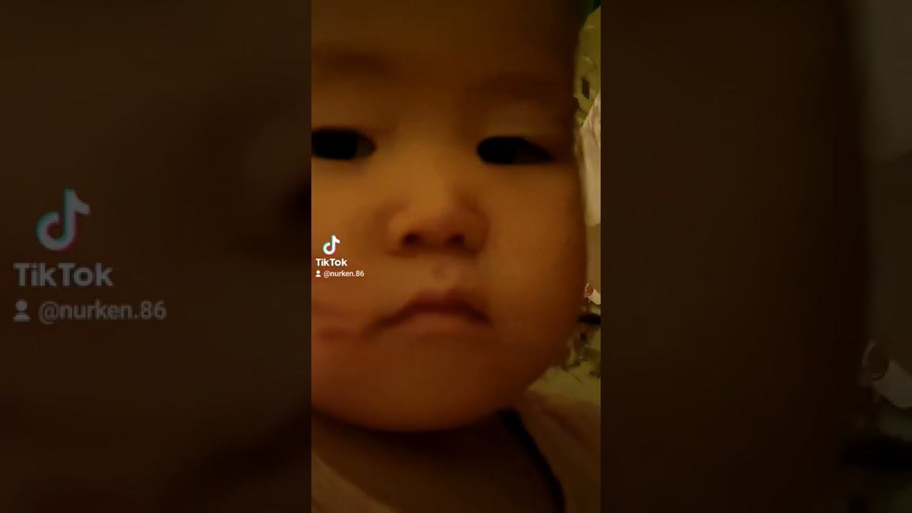 Boleksin: Key Insights and Overview