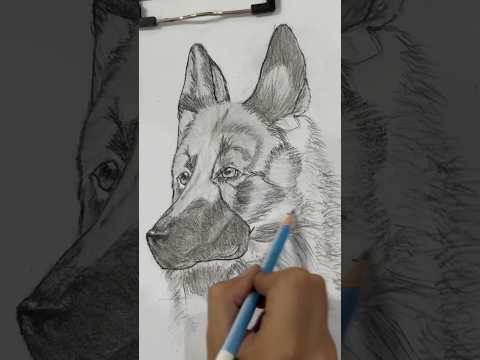 DNA slowed 🔥✍🏻👀 #phonkmusic2025