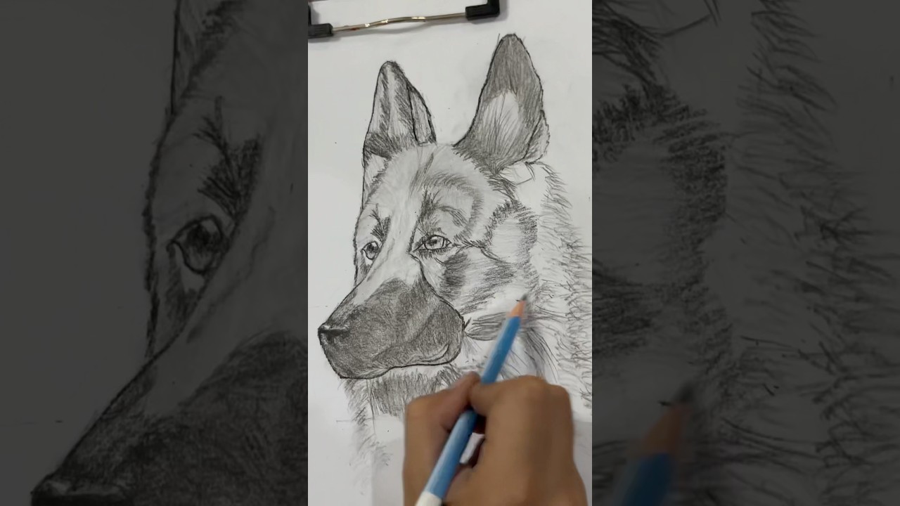 DNA Slowed - Phonk Music 2025