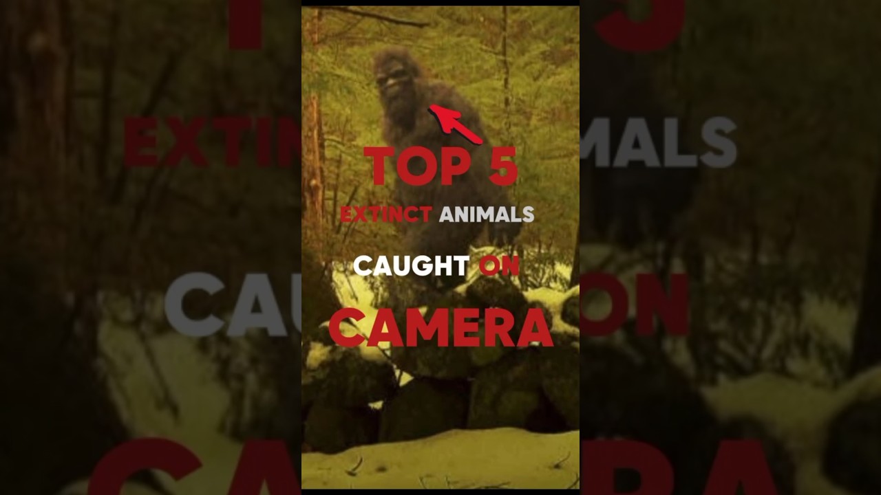 Top 5 Extinct Animals Caught on Camera πΈ
