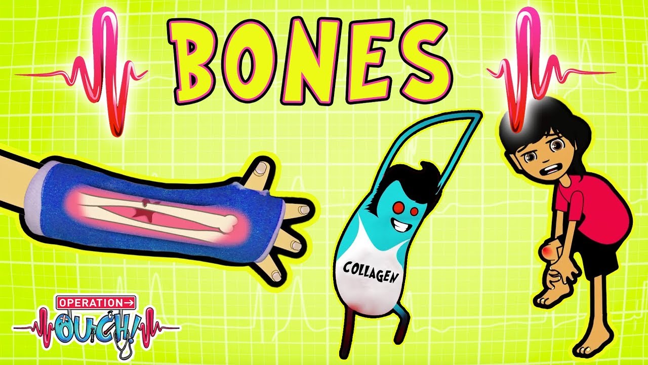 Science for Kids: Breaking Bones & More 🧬
