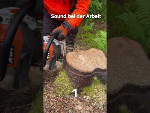 Soundcheck Chainsaw #forsttechnik #forstwirtschaft