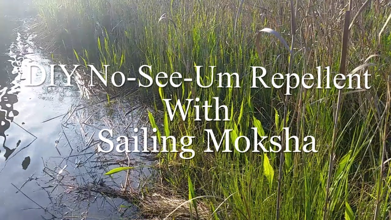 DIY No-See-Um Repellent That Works! 🦟