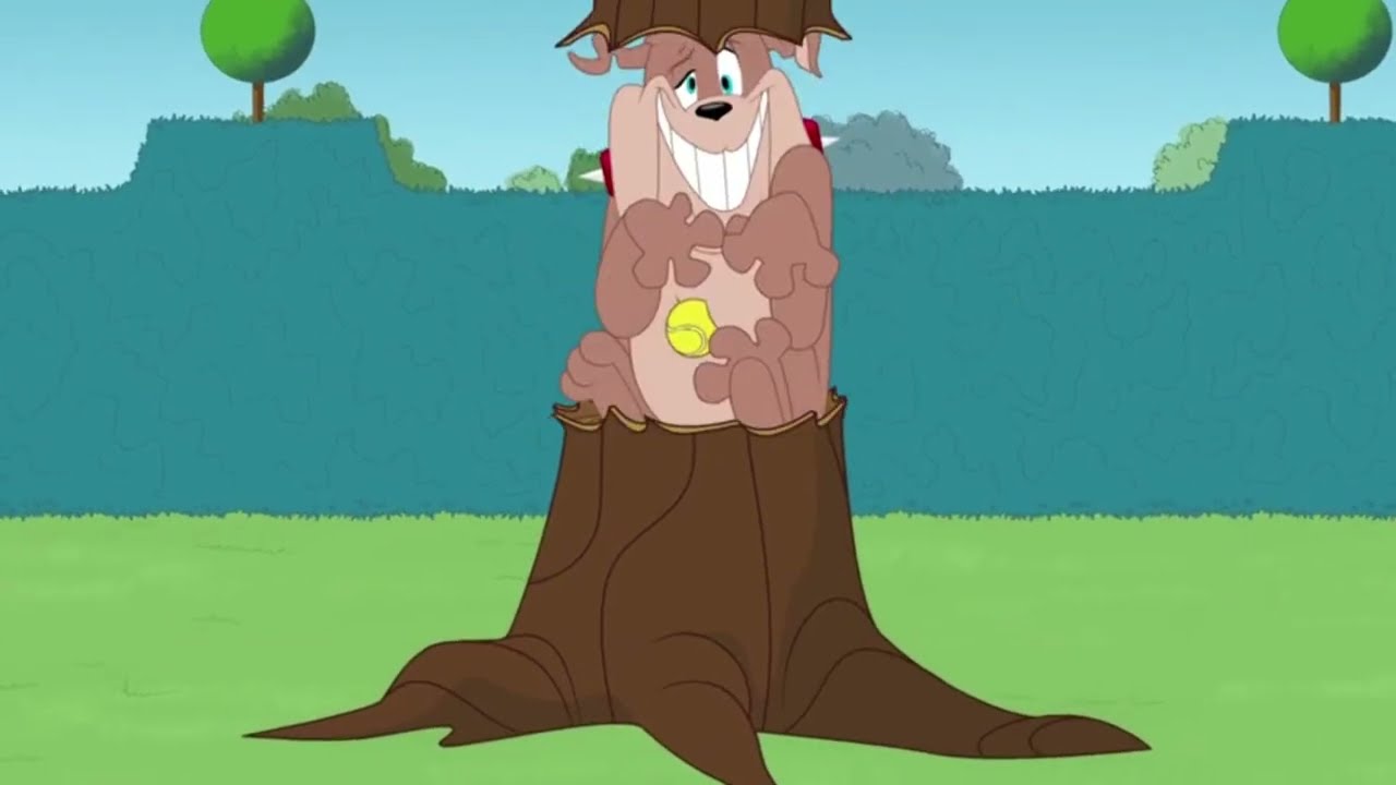 Spike Bulldog's Unexpected Collision