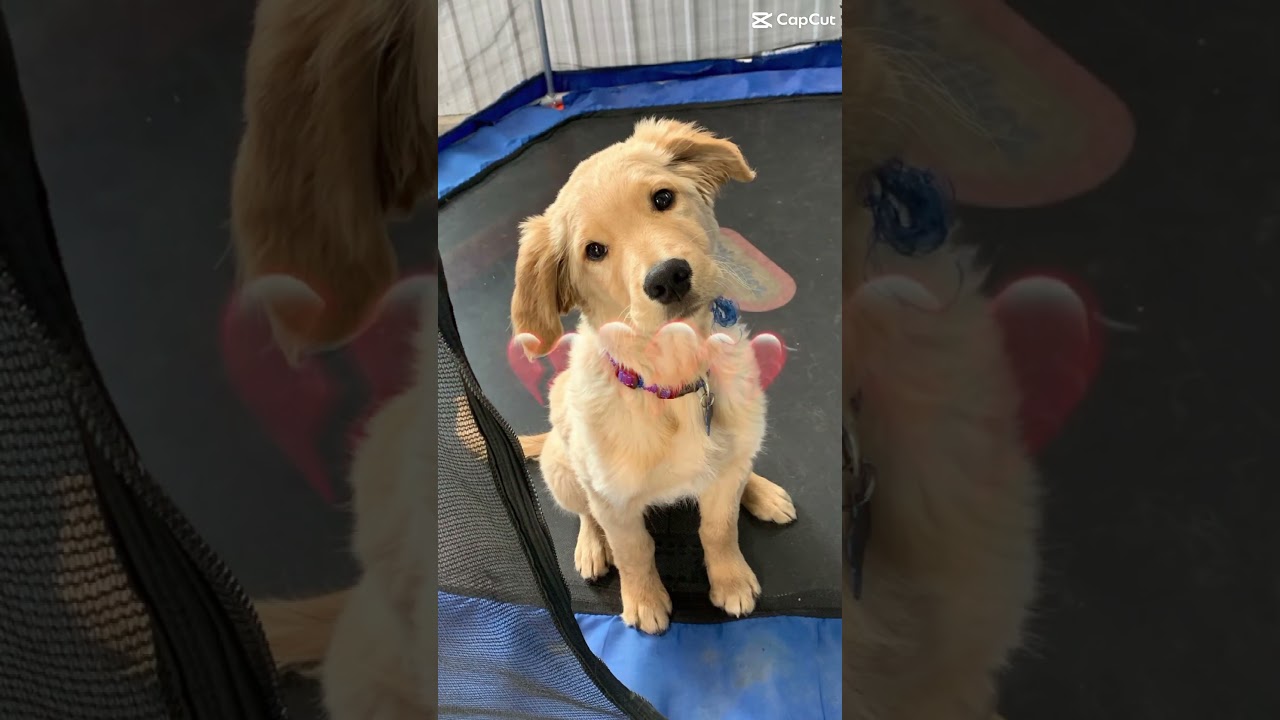 Epic Highs & Lows: Watch the Most Exciting Moments! 🎢