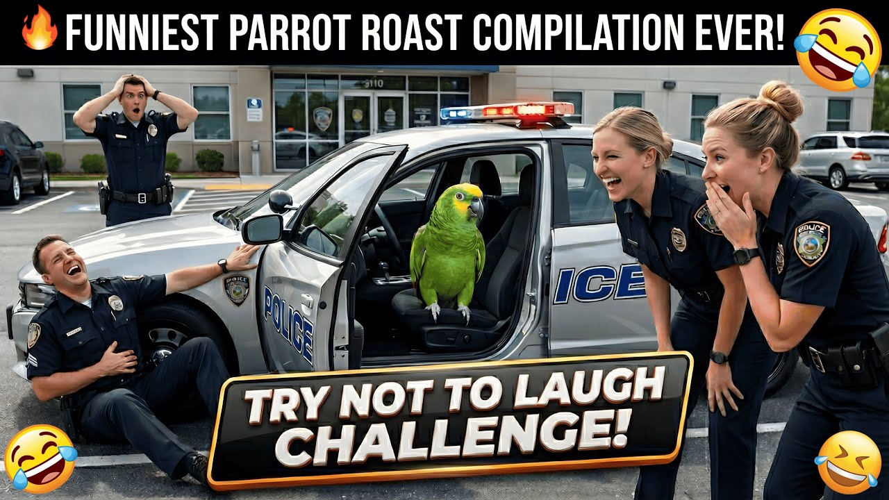 Funny Parrot Roasts Cops & Doctors 😂