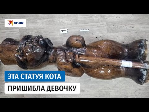 Статуя «Кота учёного» в Саратове убила девочку: СК опубликовал видео с места