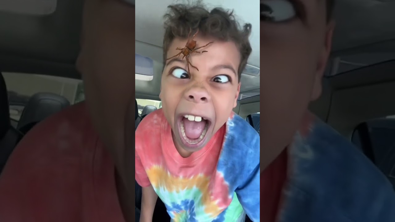 Spider on Face Prank!! 🤣🤣