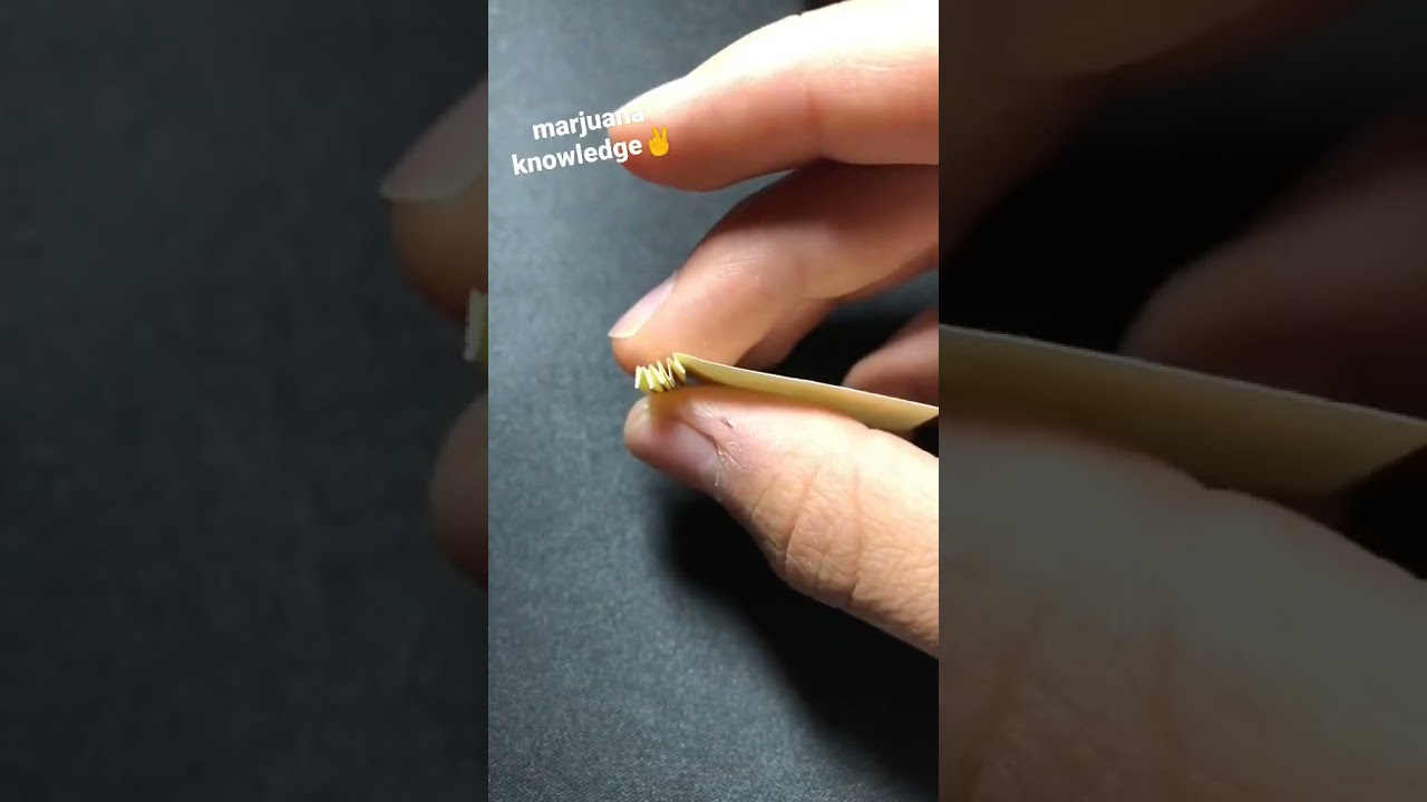 Rolling Paper Tips for Perfect Rolls 🚬