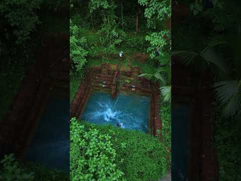 Monsoon Days in Kerala #monsoon #kerala #travel #nature