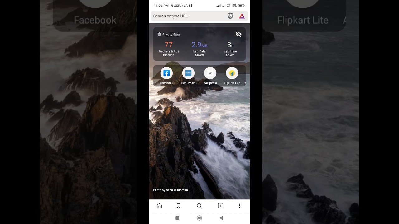 Change Theme in Brave Mobile Browser 🌙