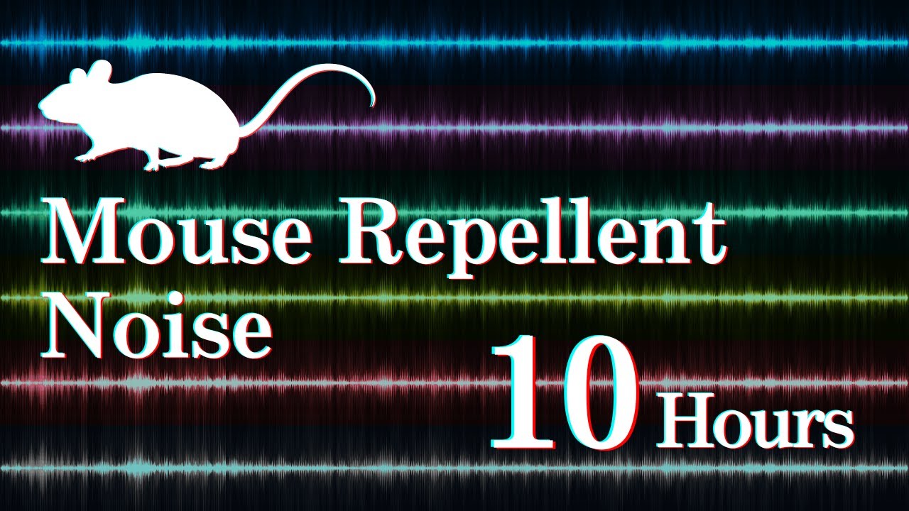 High-Frequency Rodent Repellent for Mice & Rats 🐭