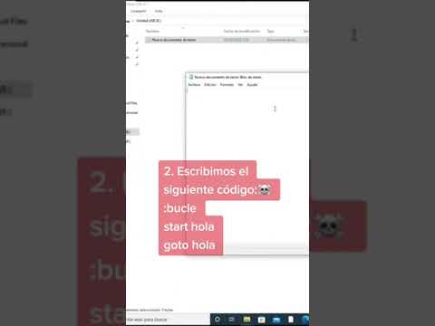 ¿Puedes Colapsar un PC en 30 Segundos? | Virus en Acción