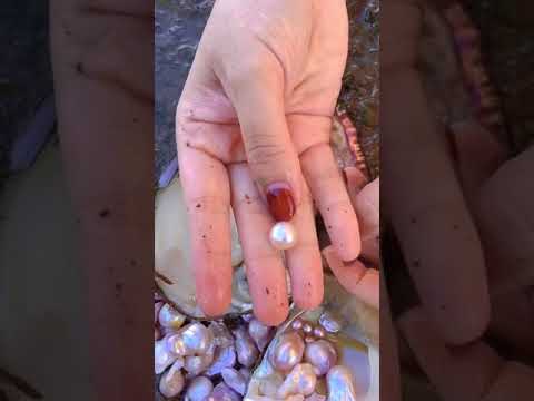 Beautiful one !! #nice #pearl #fyp #You Must Know #viral story #Wonderbot