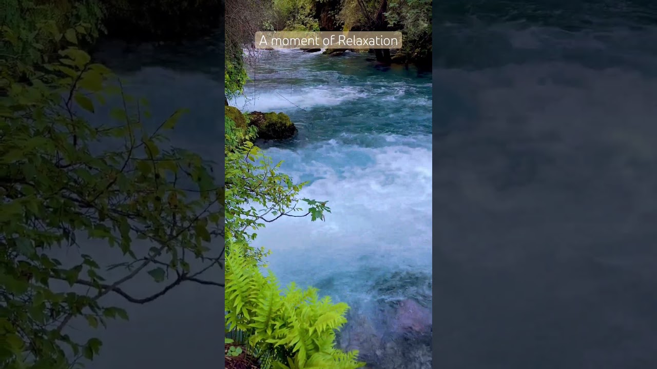 Relax & Unwind in Provence's Tranquil Waters ๐ฟ