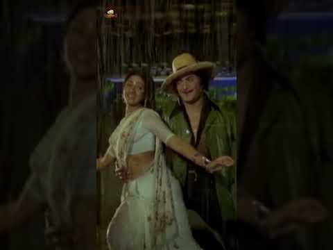 #EvergreenHitSongs | Aaku Chaatu Songs | #YoutubeShorts | Vetagadu Movie Songs | NTR | Sridevi