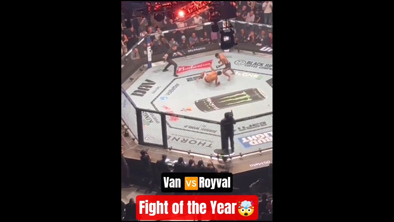 Royval vs Van at UFC 317 🥊