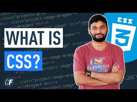 CSS Tutorial For Beginners