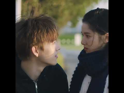 They are so cute！🤣 | Lighter & Princess | YOUKU Shorts #youku