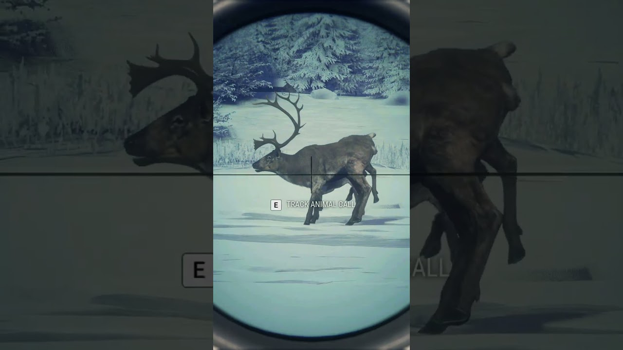 Caribou Combo 🦌🦌🦌🔫 | theHunter: Call of the Wild
