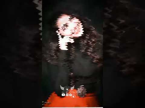 #shorts Trisha and Anushka /anupamaparameswaran WhatsApp status videos /short videos in Telugu