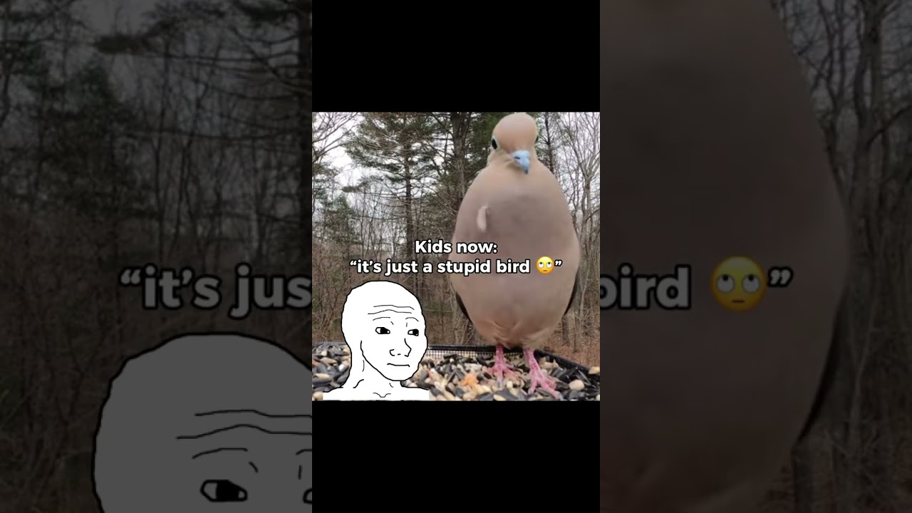 A Nostalgic Sound 🎶