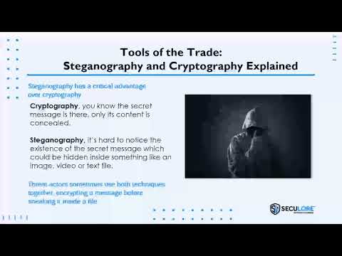 How APTs Use Steganography and Cryptography  - Advanced Persistent Threat: Fear the Disruption