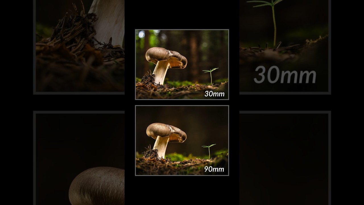 Macro Lens Showdown: 90mm vs. 30mm 📸