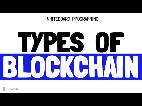 Types of Blockchain Explained | Blockchain Types