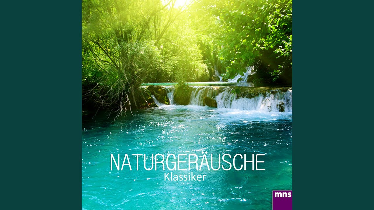Wasserfall - Entspannungsmusik & Naturgeräusche 🌊