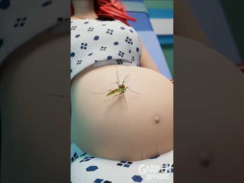 #Part-737 Comaaly Ki Kahani 🔮| Gulli Bulli | cartoon cartoon | #shorts #comedy #littlesingham