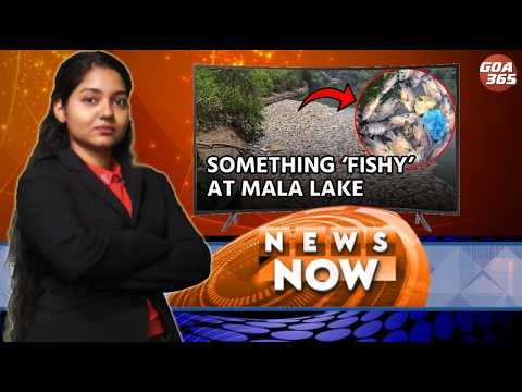 GOA365 News Now || 12th Apr 2026