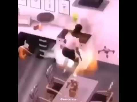 What Is the Dog Doing? 🐶