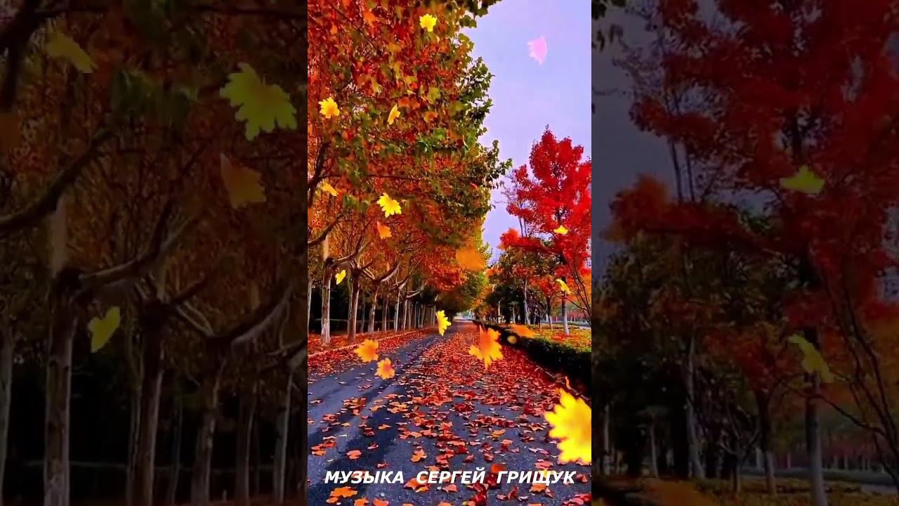 Зимняя Музыка для Души ❄️ — Вдохновляющие Мелодии Сергея Грищука