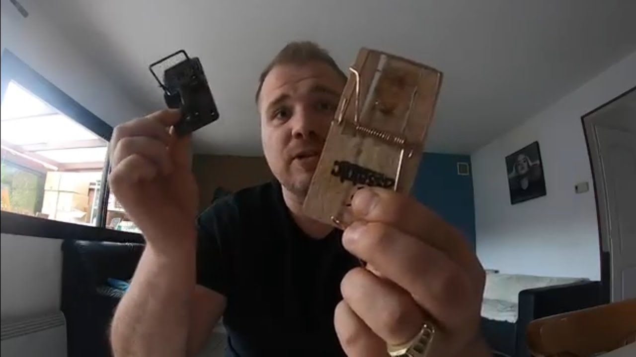 Comparatif : Tapette souris en bois VS Tapette souris plastique