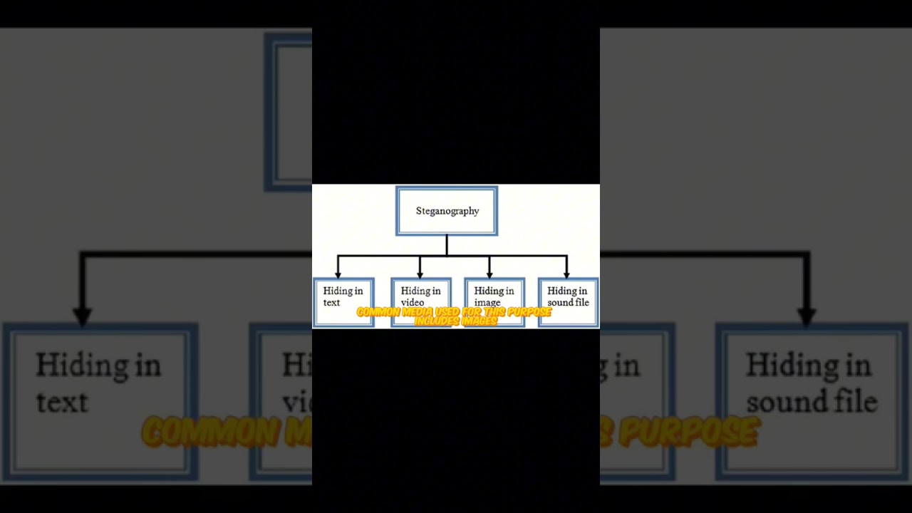 English II Course Assignment at UBSI Guided by Dr. Andika Hendra Mustaqim