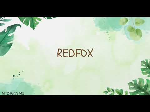 Backdoor | The Secret party Invite | Steganography | Image Steganography | Audio Steganography