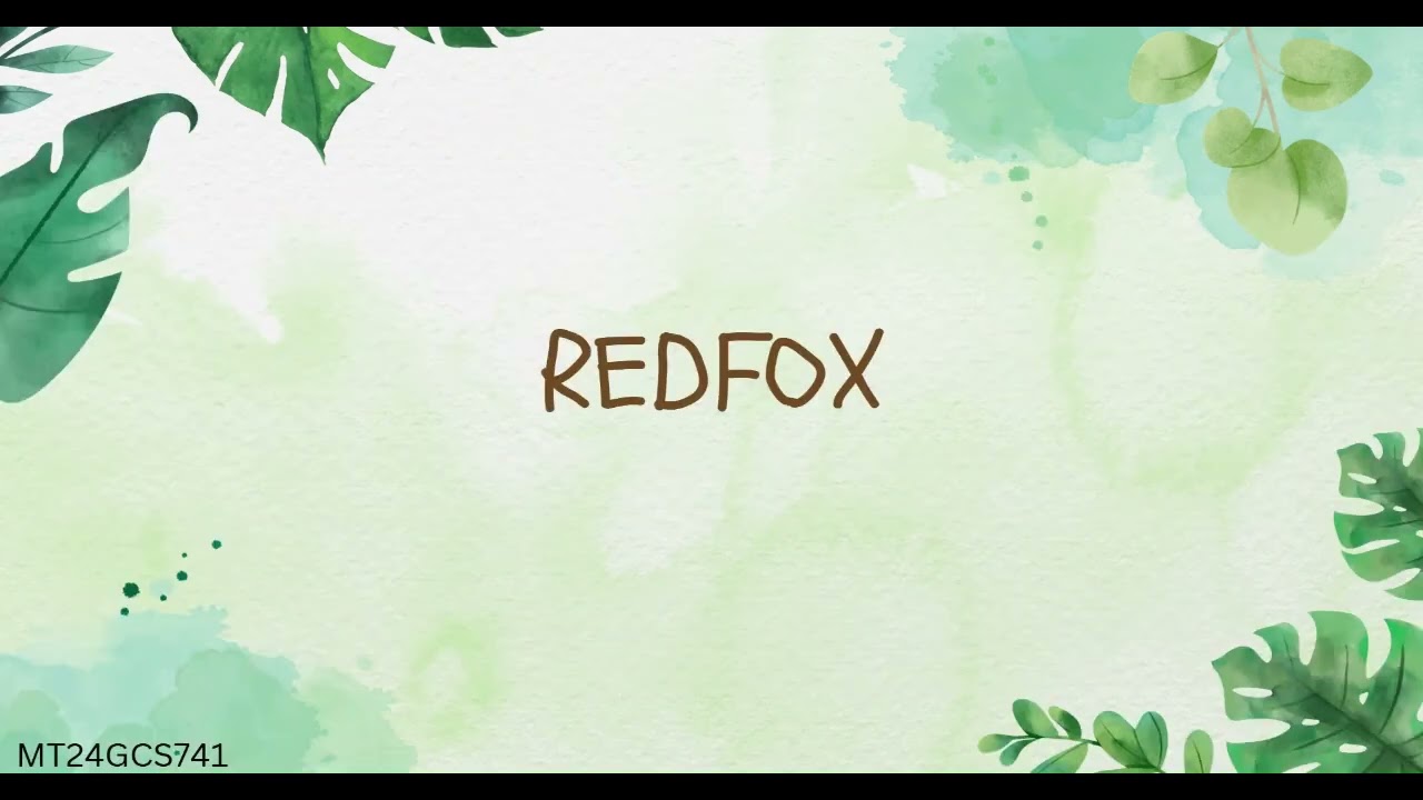 Unlock Hidden Secrets: Master Steganography in Images & Audio π