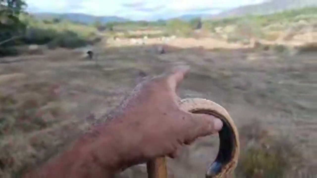 No llueve ☔️ Únete para más ventajas