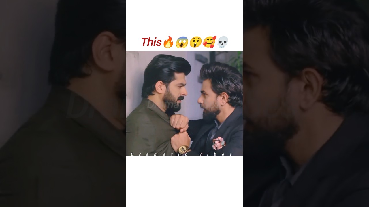 Ali Ansari Always Protects Her 🥰