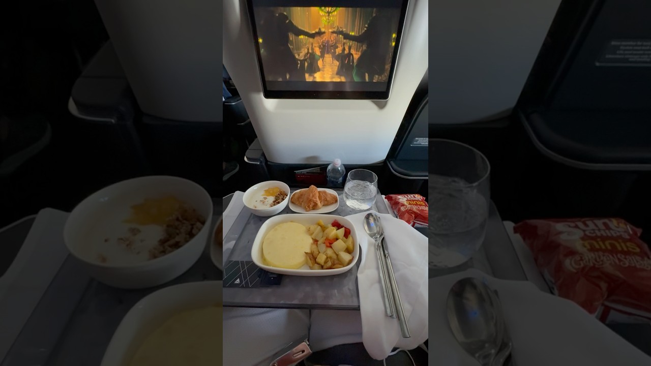 Delta 737-800 First Class New Seats ✈️