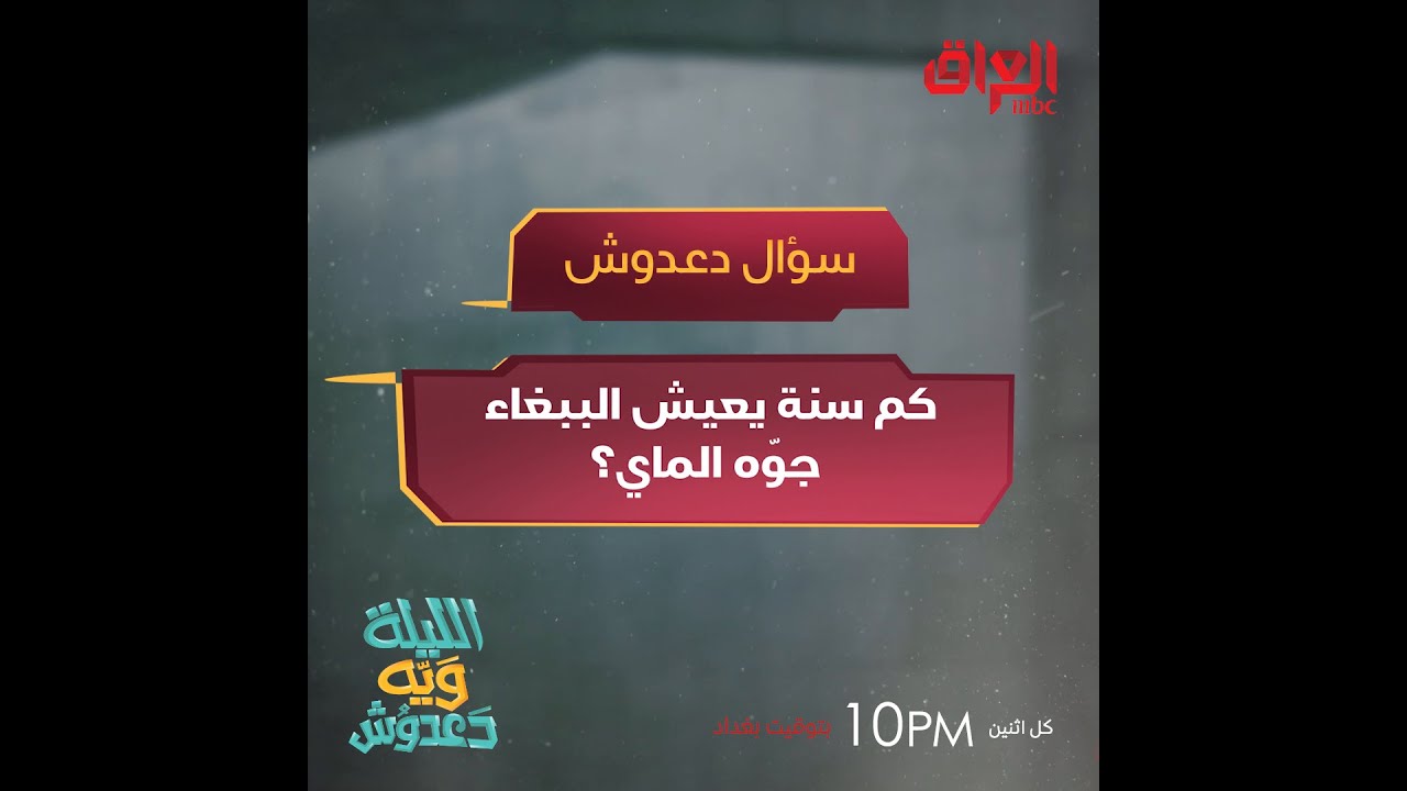 هل تتساءل عن عمر الببغاء في الماء؟ 🦜 اكتشف الإجابة الآن!