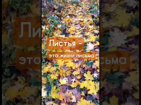 #душевныепесни #music #светланакопылова